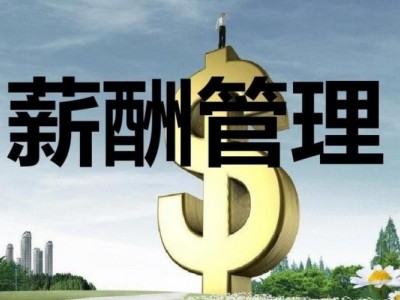 薪酬設(shè)計(jì)三部曲-定崗、定編、定薪高級(jí)培訓(xùn)班